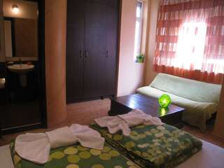 Хостелы Elegance Hostel and Guesthouse София Улучшенный двухместный номер с 1 кроватью-3